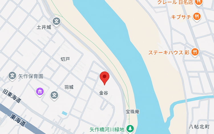 Google Map